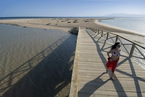 , ���� ���