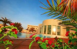 �����, ������